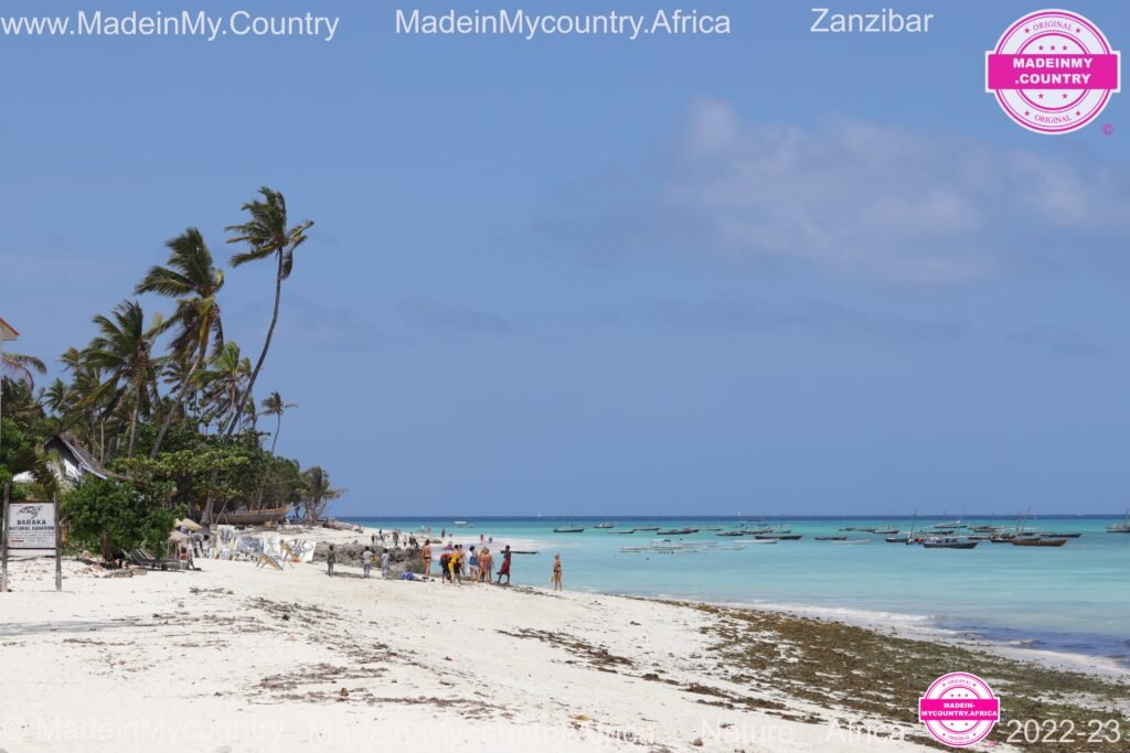 MadeinMycountry-MadeinMycountryAfrica-Africa-Madein-Africa-MadeinMycountryNET-Culture-History-Zanzibar